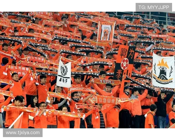 斯温登俱乐部宣布重大变动新赛季目标明确球迷热切期待新阵容表现 斯温登俱乐部宣布重大变动新赛季目标明确球迷热切期待新阵容表现