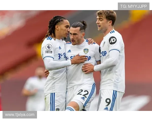 诺维奇足球俱乐部的辉煌历程与未来发展潜力探析 诺维奇足球俱乐部的辉煌历程与未来发展潜力探析