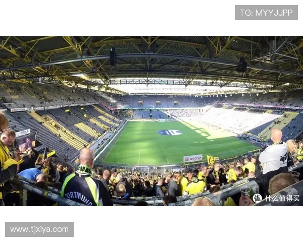 央视聚焦德甲赛场全景深度解读德国足球激情与技战术魅力