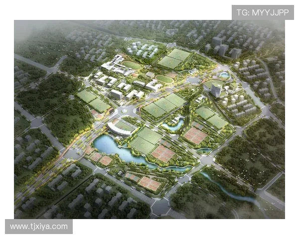 意甲排球俱乐部的发展现状与未来国际竞争格局分析 意甲排球俱乐部的发展现状与未来国际竞争格局分析