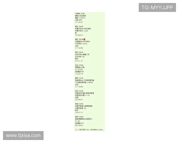 斯特拉斯堡俱乐部新赛季动向引发球迷热议焦点全面深度解读全景报